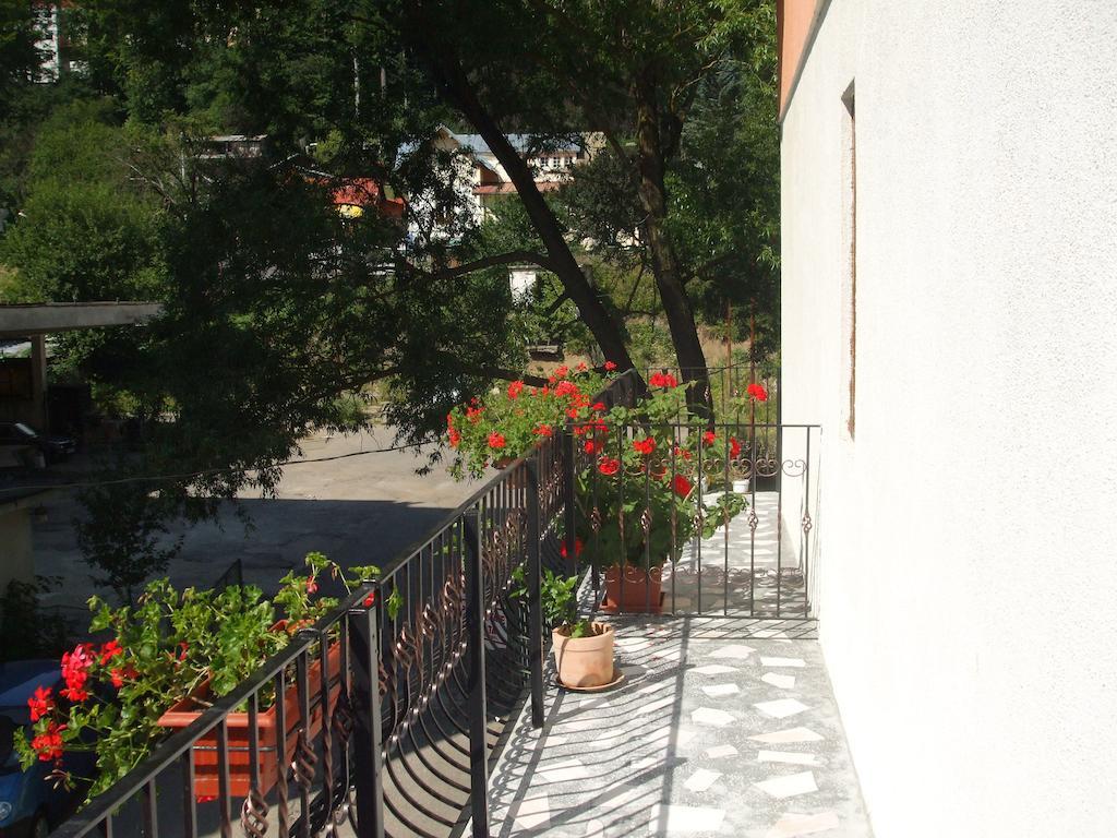 Vila Ana-Maria Sinaia Zimmer foto